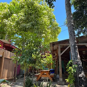  Hostal Banana Maui